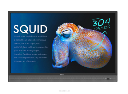 Monitory interaktywne