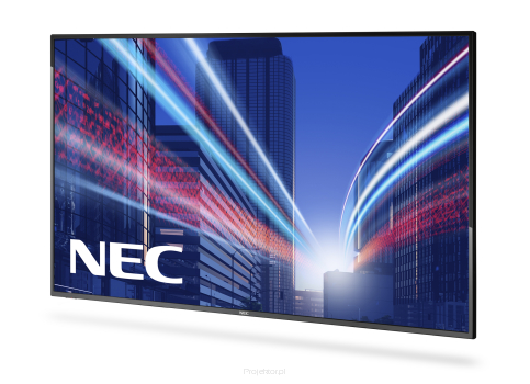Monitor NEC MultiSync E425