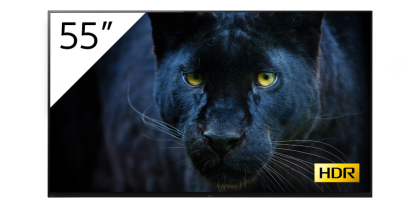 Monitor Sony FWD-55A8/T 55" Bravia