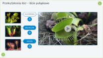 Interaktywne Plansze Przyrodnicze Biologia - 6