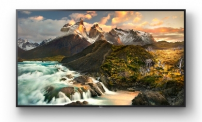 Monitor Sony FWD-100ZD9501 100" Bravia