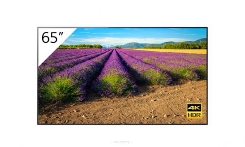 Monitor Sony FWD-65A9G/T 65