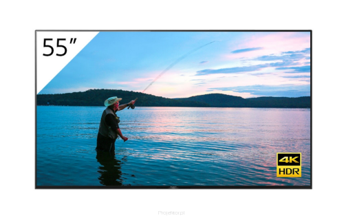 Monitor Sony FWD-55X95H/T 55