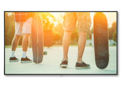 Monitor NEC MultiSync V984Q