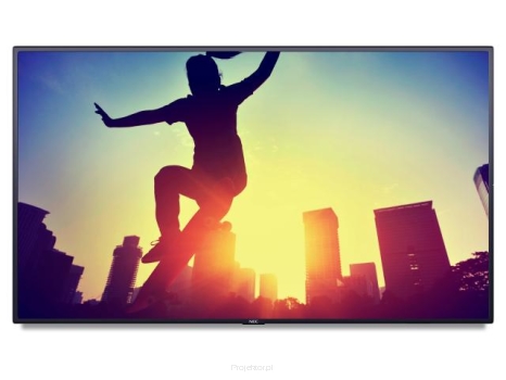 Monitor NEC MultiSync V484 48