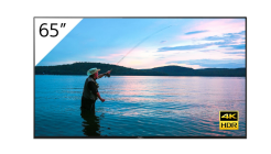 Monitor Sony FWD-65X95H/T 65" Bravia