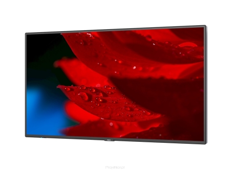 Monitor NEC MultiSync MA431