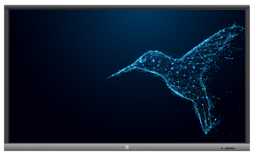 Monitor interaktywny AVtek TouchScreen 5 Lite 75