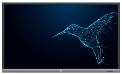 Monitor interaktywny AVtek TouchScreen 5 Lite 75