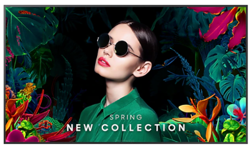 Monitor Samsung QM65C