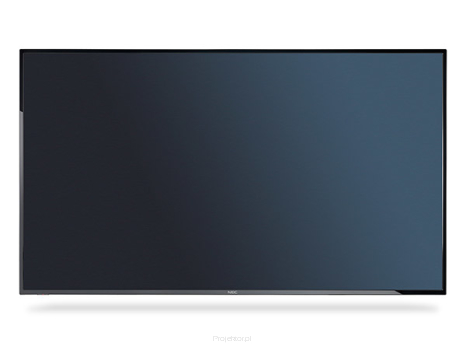 Monitor NEC MultiSync E325