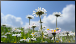 Monitor Samsung ED65C