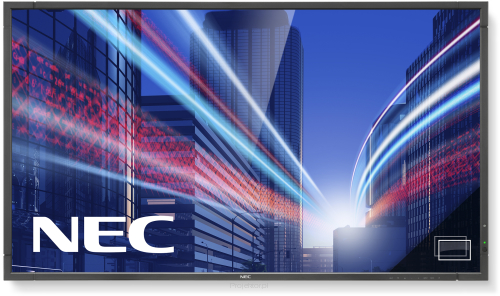 Monitor NEC MultiSync P553 PG 