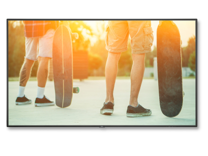 Monitor NEC MultiSync V754Q