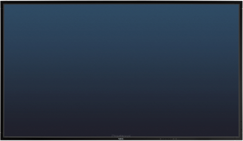 Monitor NEC MultiSync X462S