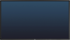 Monitor NEC MultiSync X462S