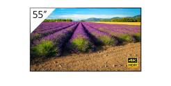 Monitor Sony FWD-55A9G/T 55" Bravia Master
