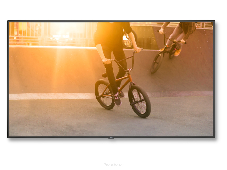 Monitor NEC MultiSync P754Q