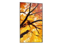 Monitor NEC MultiSync M552 - 6