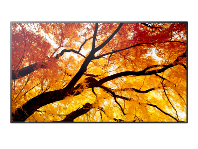 Monitor NEC MultiSync M552