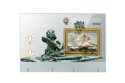 Monitor LG 55EW5TF-A