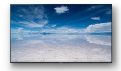 Monitor Sony FW-85XD8501 85