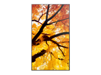 Monitor Sharp MultiSync M502 - 8