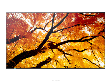 Monitor Sharp MultiSync M502