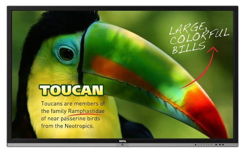 Monitor interaktywny BenQ RP653 65