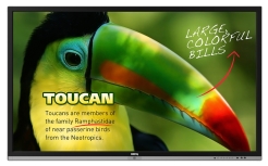 Monitor interaktywny BenQ RP653 65"