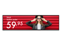 Monitor NEC MultiSync BT421